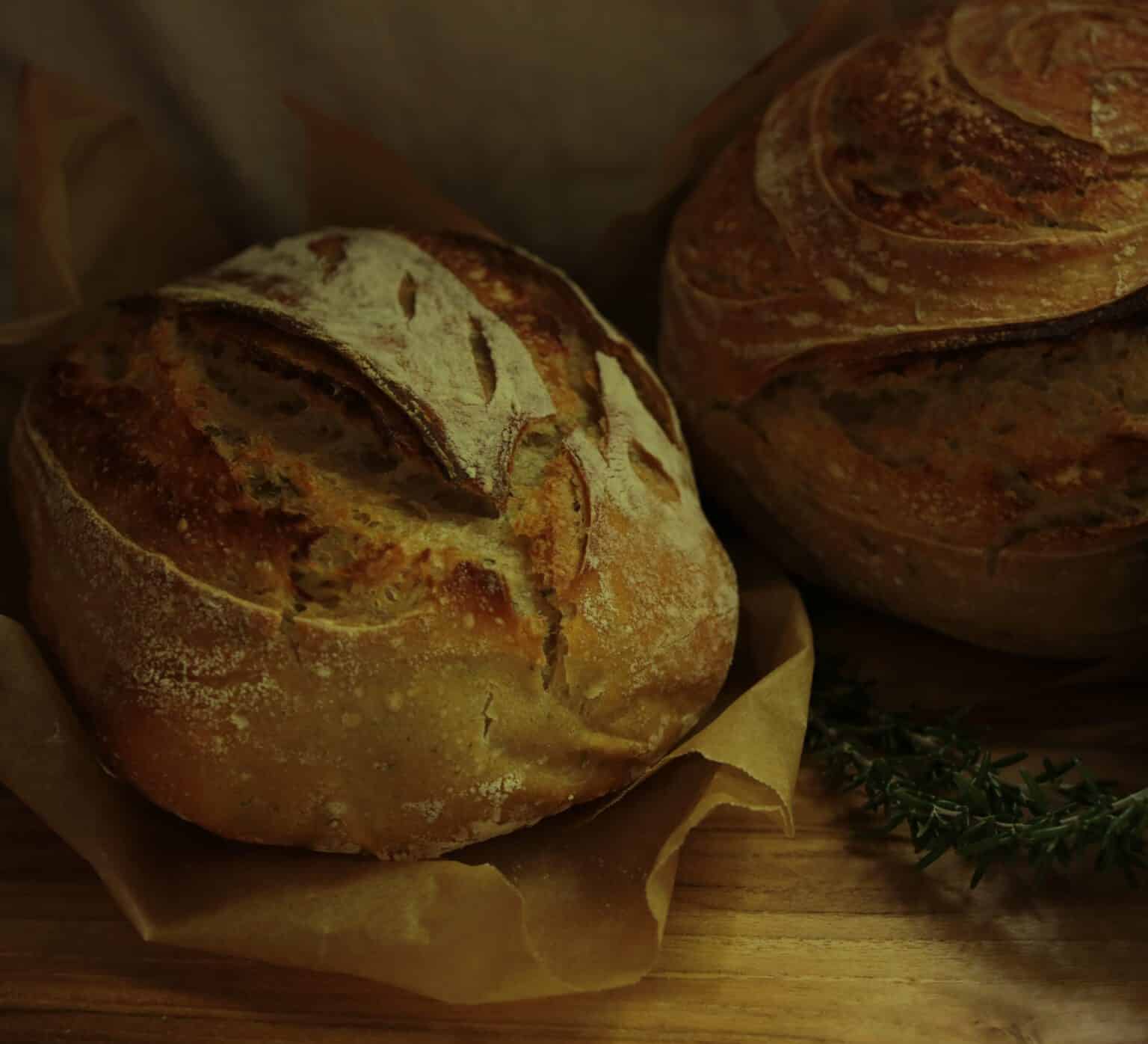 Roasted Garlic and Rosemary Sourdough Bread Through the Wildwood