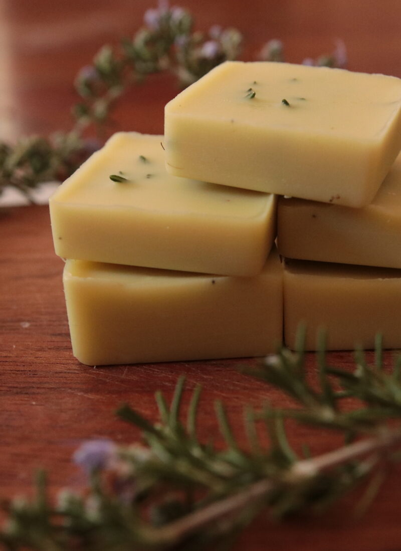 Rosemary Lotion Bars | A Hydrating Recipe for Dry Winter Skin