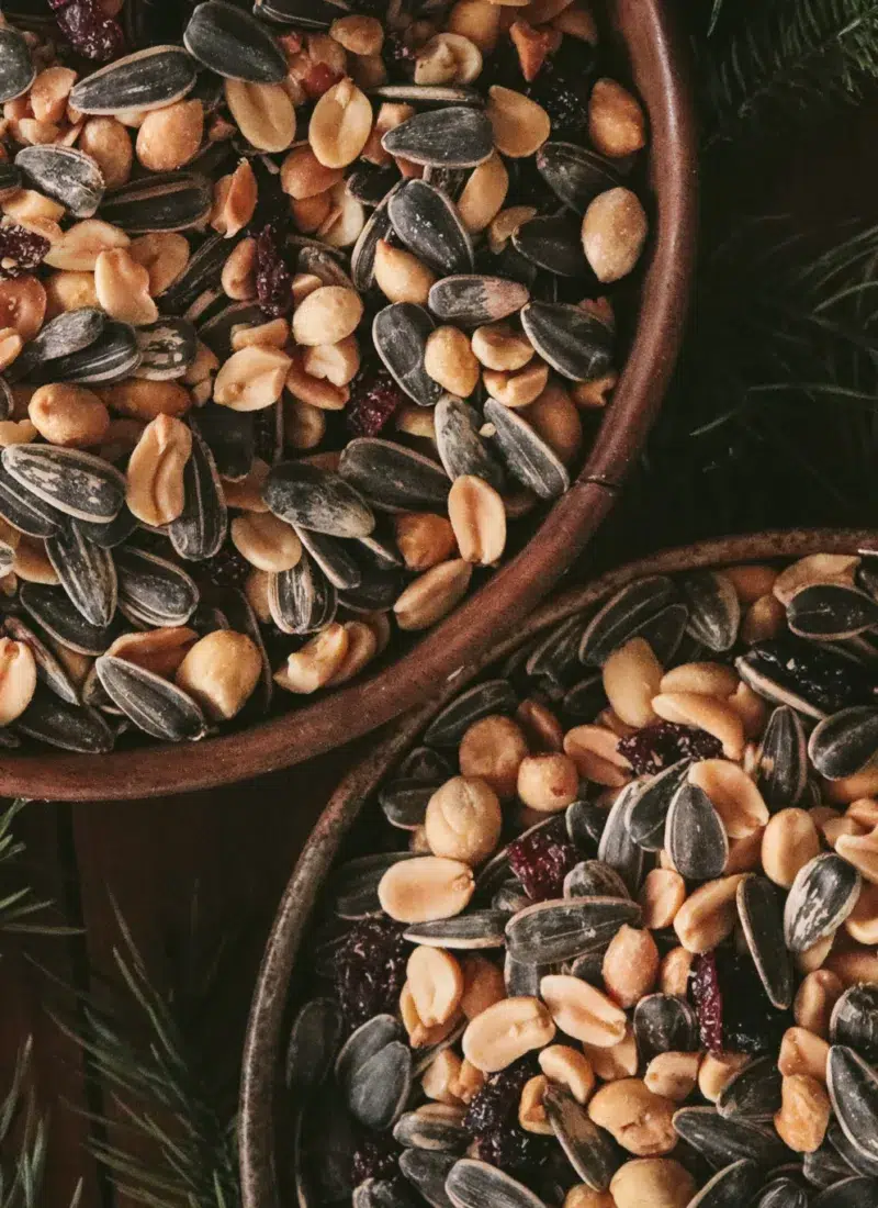 Homemade Bird Seed Blend for Wild Backyard Birds