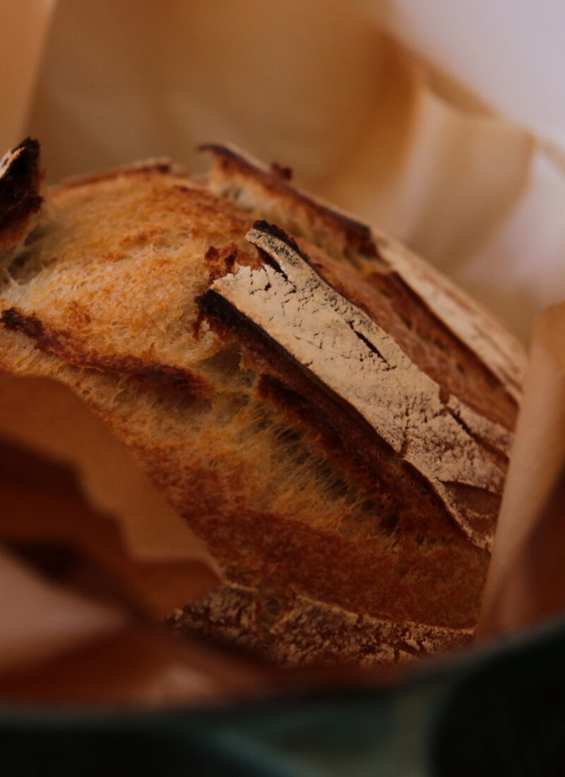 Classic Rustic Sourdough Bread Recipe