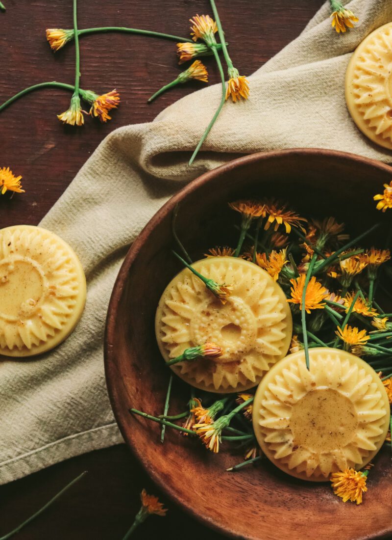 Dandelion and Beeswax Lotion Bars