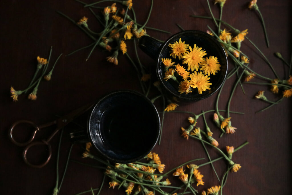 dandelion flower tea