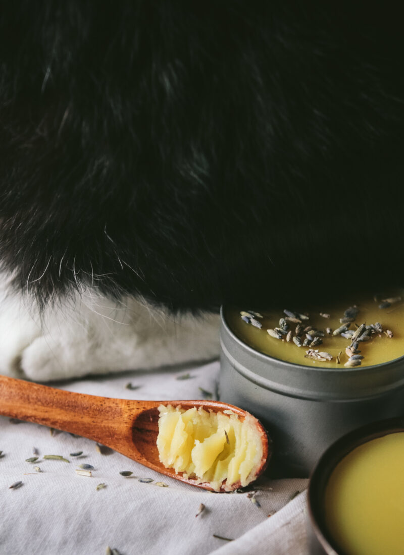 Homemade Paw Balm for Cats and Dogs