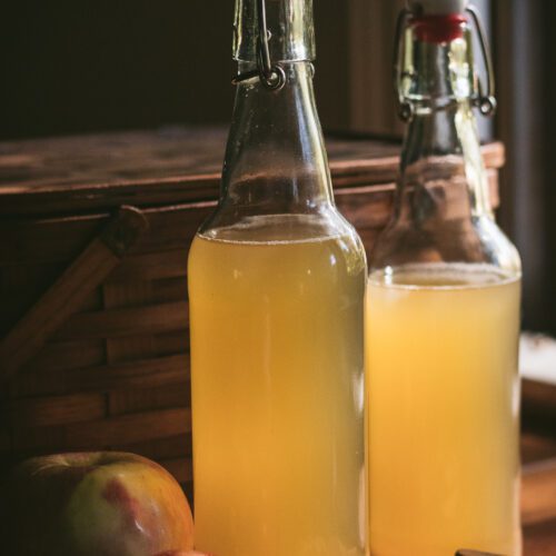 Green Tea Kombucha Everything You Need to Know Through the Wildwood