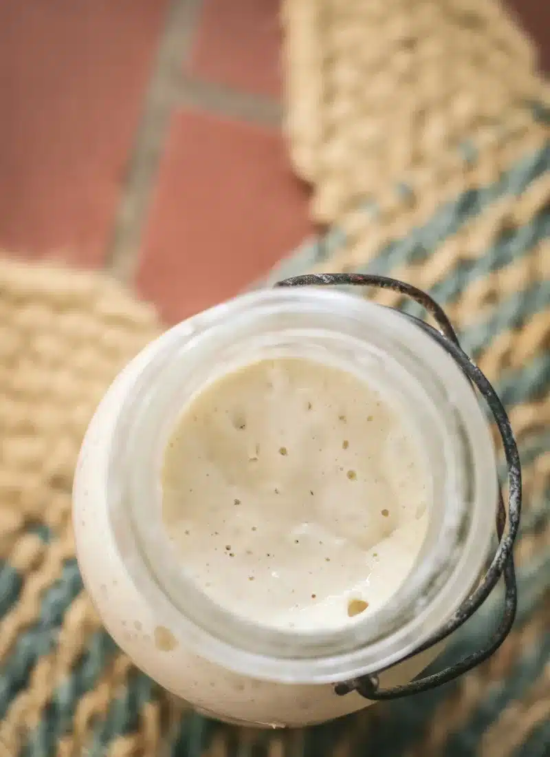 Sourdough Starter Not Rising? Here are the Four Reasons Why