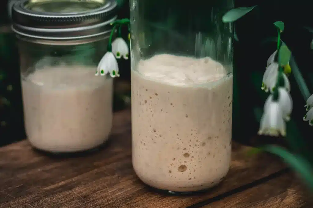 Feeding Sourdough Starter