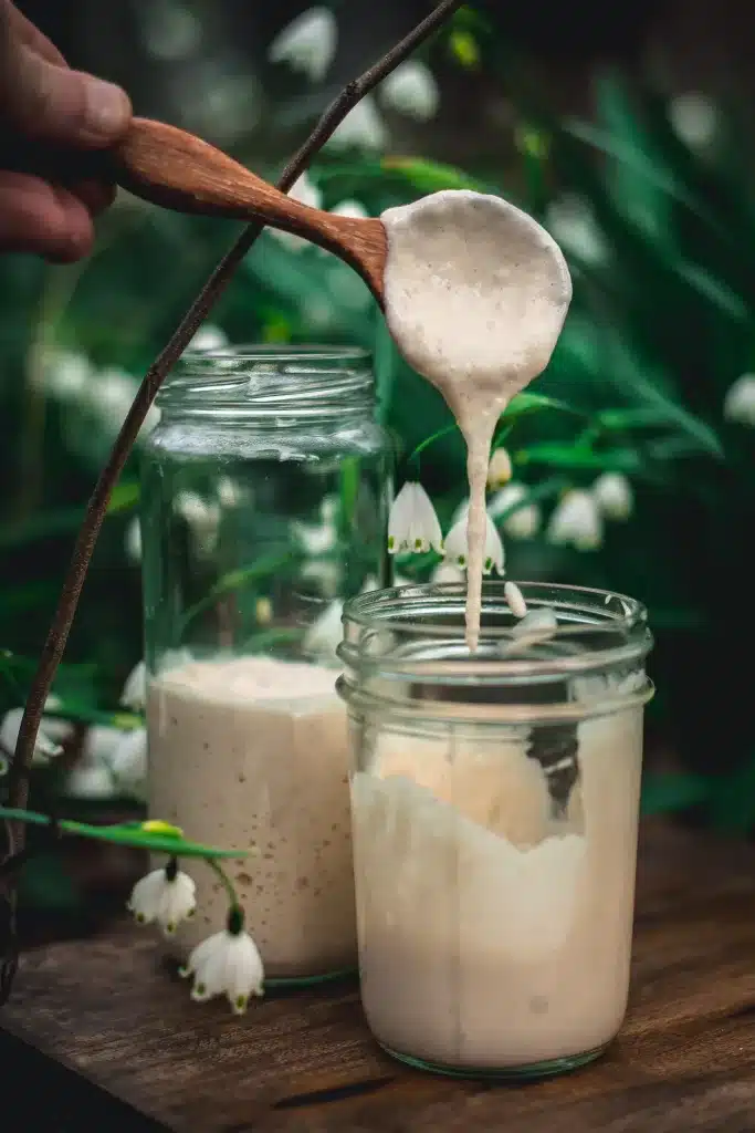 Feeding Sourdough Starter