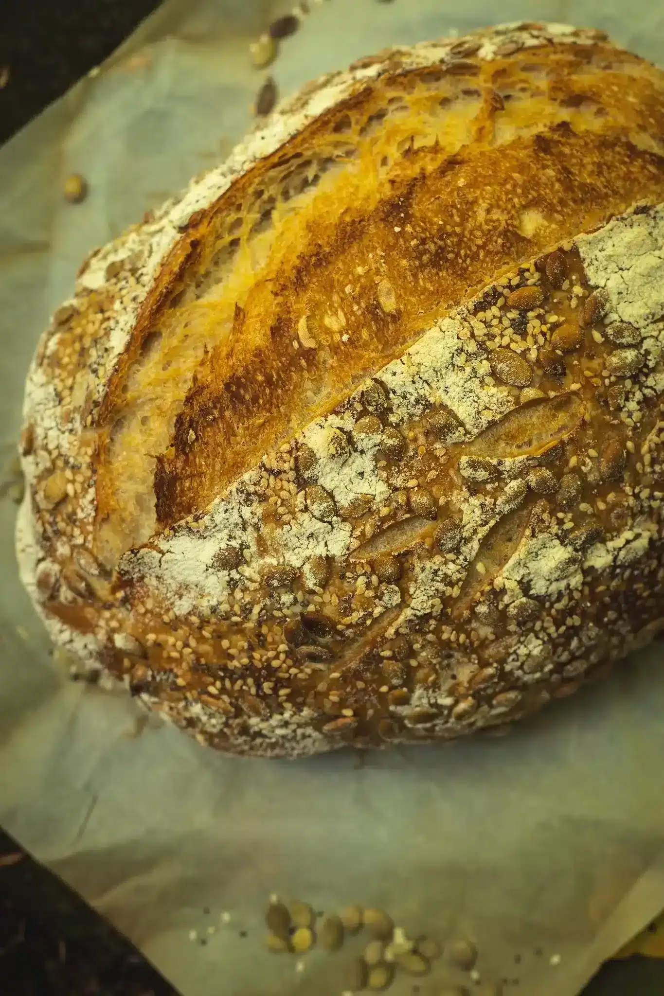 the-best-organic-sourdough-bread-recipe-through-the-wildwood
