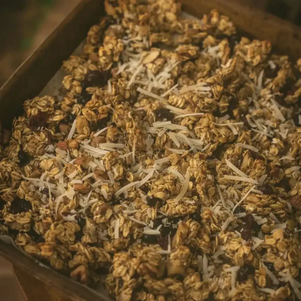 sourdough discard granola