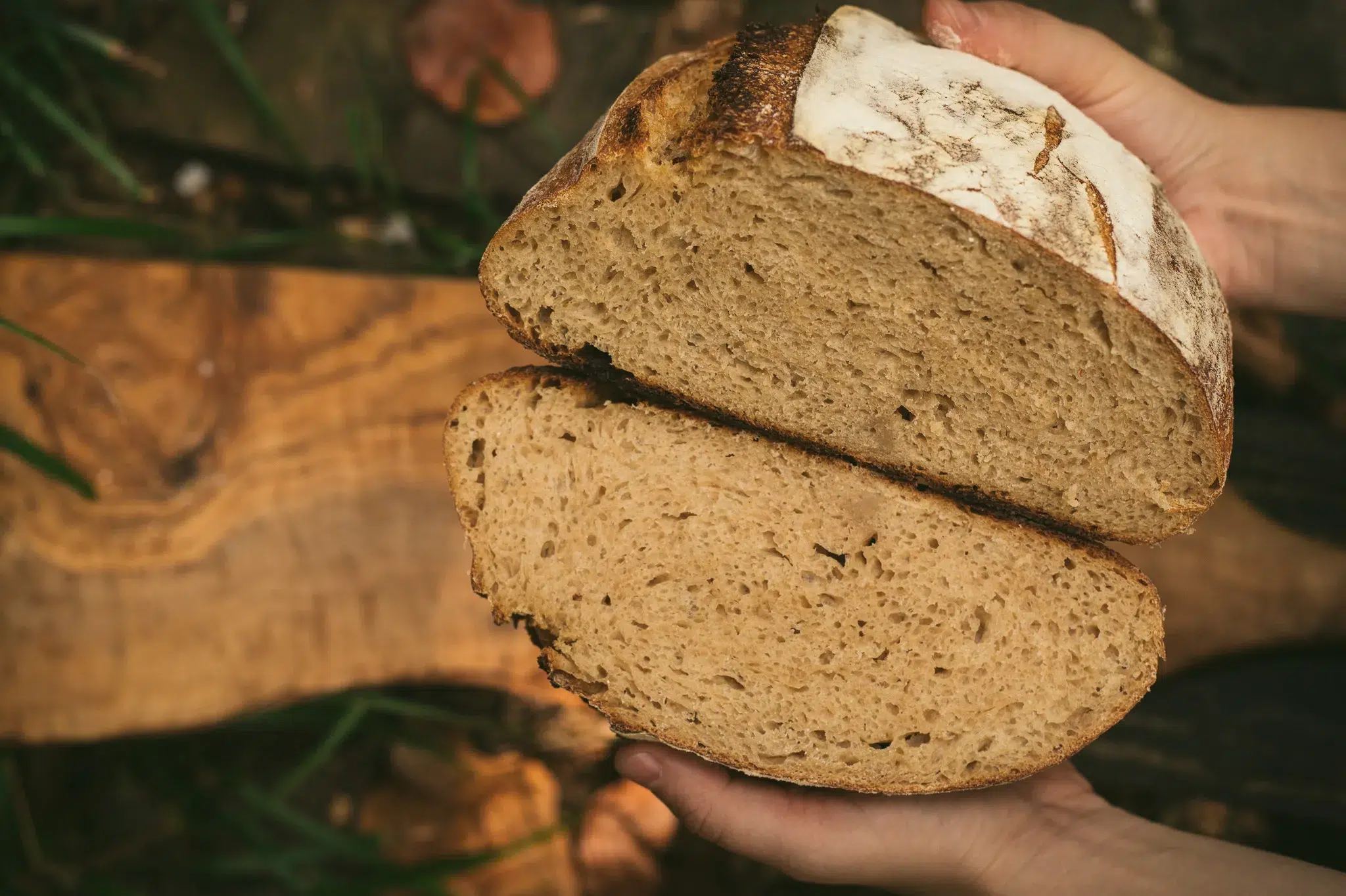 no-knead sourdough bread