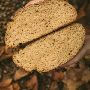 no-knead sourdough bread