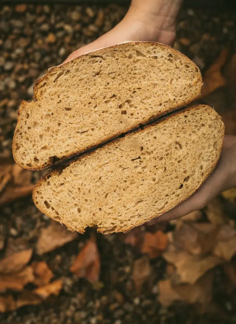 no-knead sourdough bread