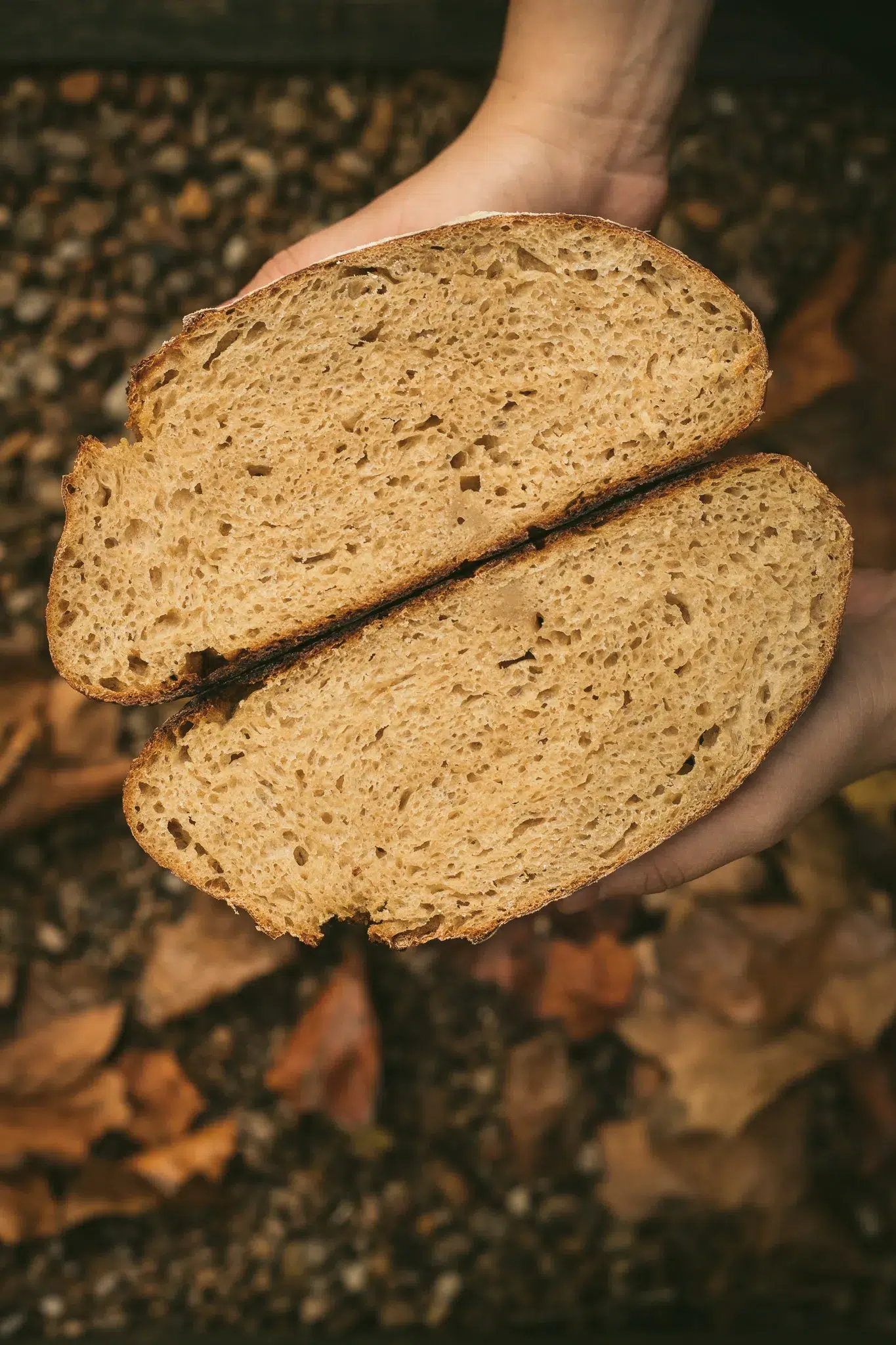 no-knead sourdough bread