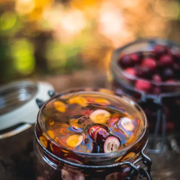 fermented cranberries