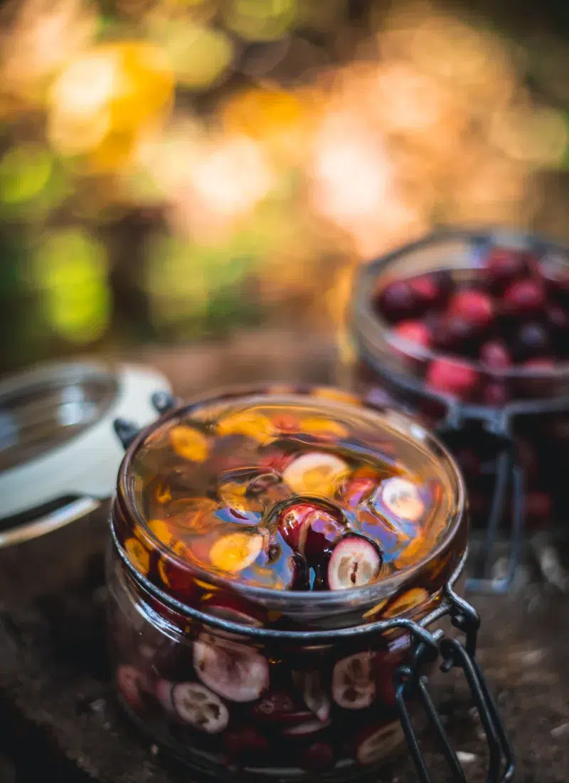 fermented cranberries