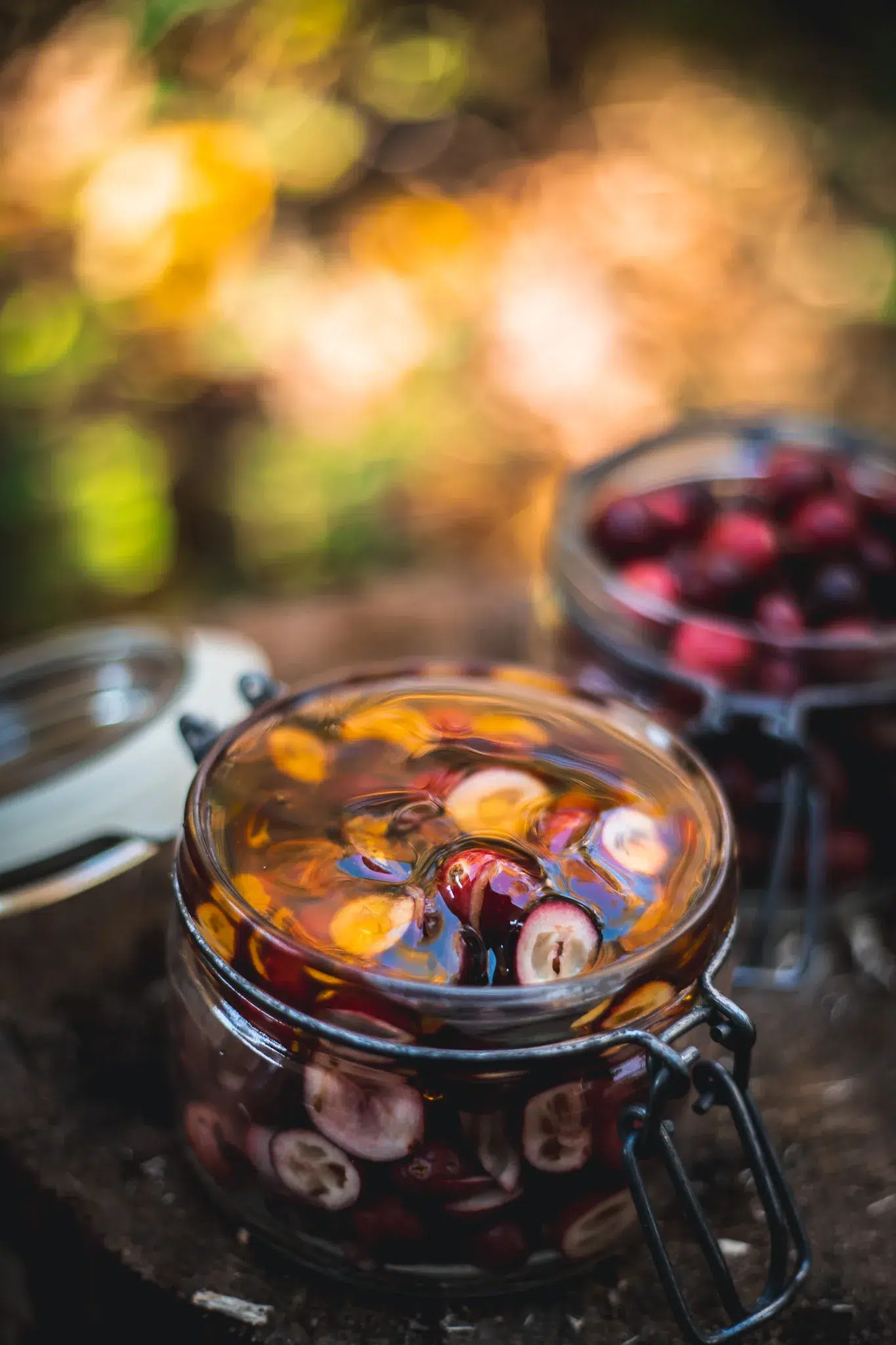 fermented cranberries