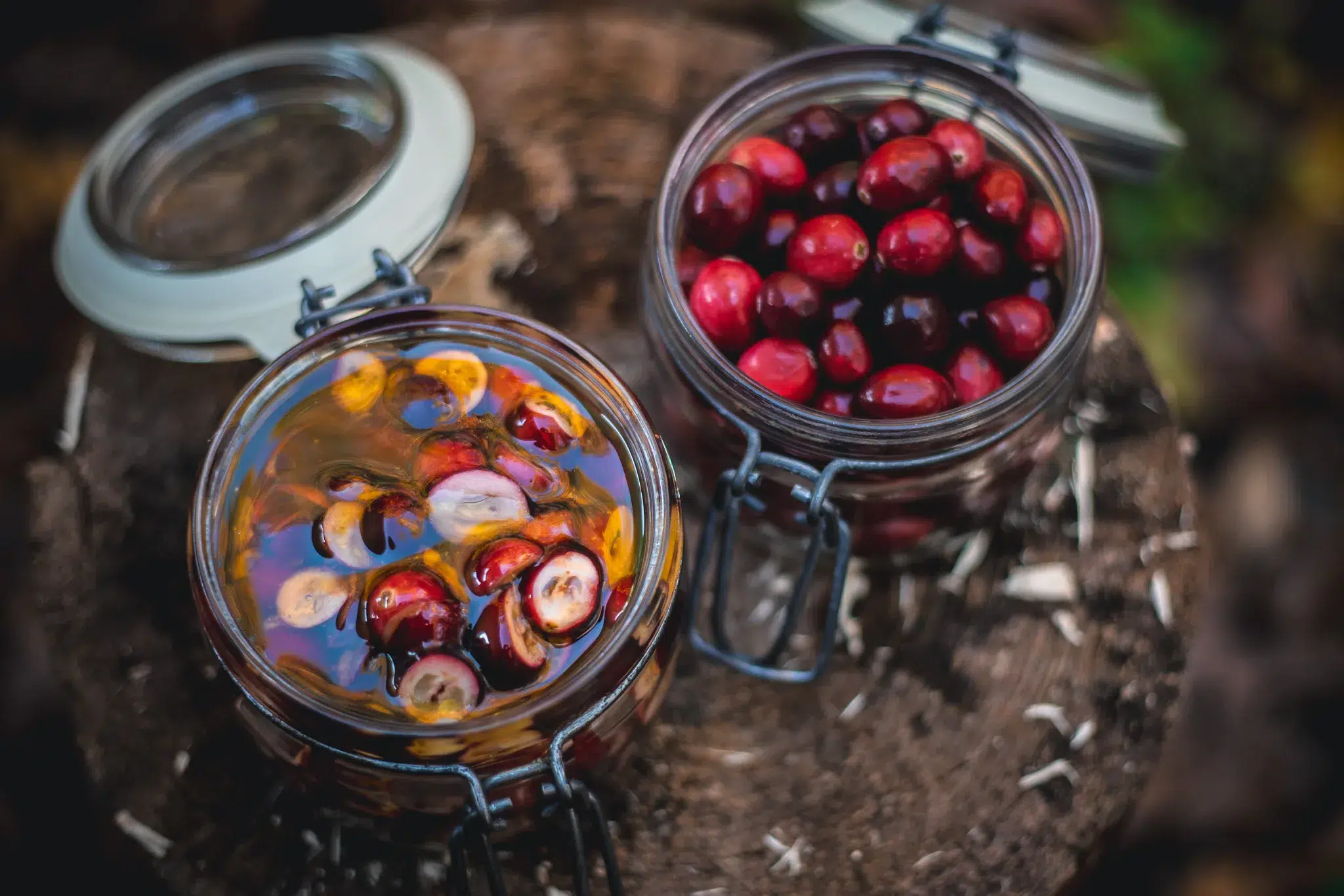 fermented cranberries