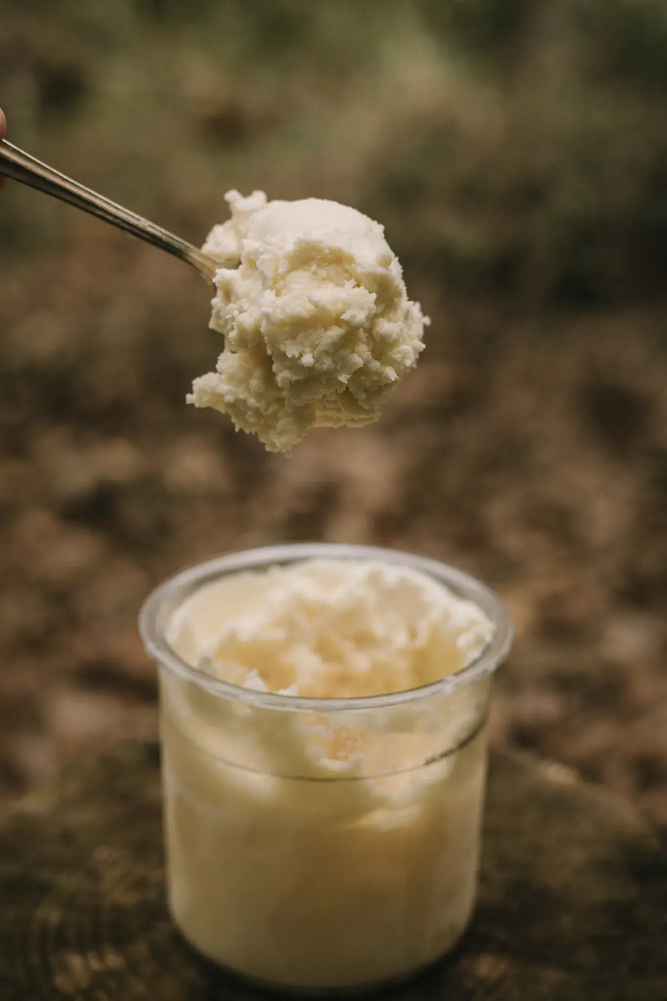 ninja creami vanilla ice cream recipe