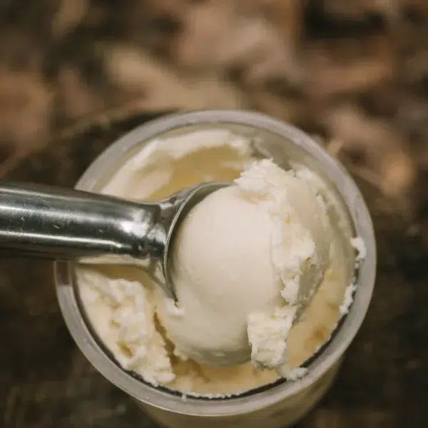 Ninja Creami Vanilla Ice cream recipe