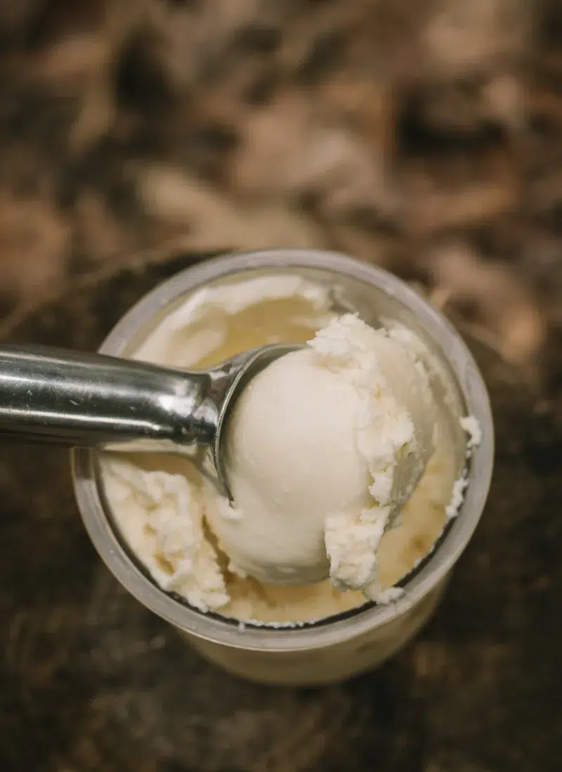 Ninja Creami Vanilla Ice Cream Recipe-Made with Whole Food Ingredients