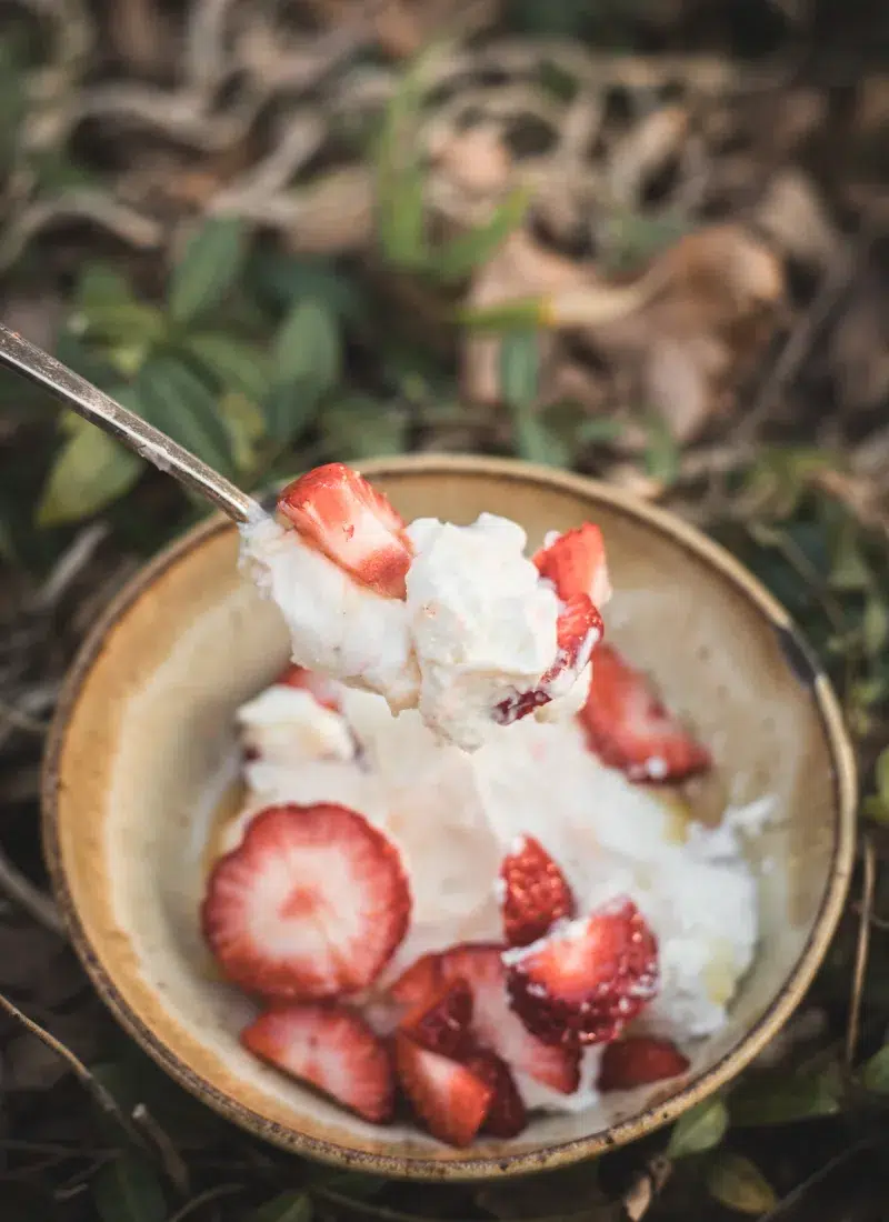 Easy Instant Pot Greek Yogurt