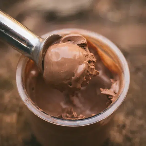 ninja creami chocolate ice cream