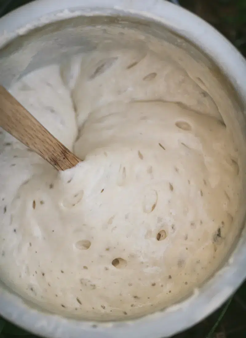 Sourdough Starter Tips for the Best Possible Bread