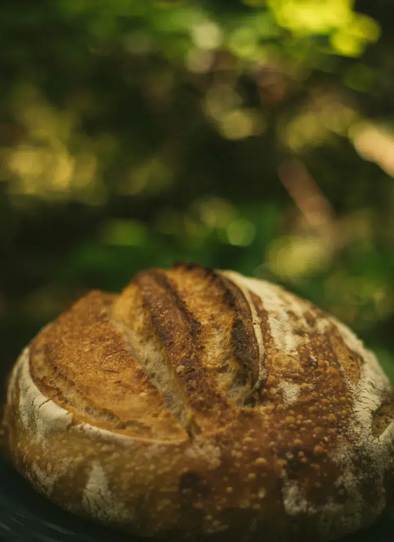 How to Increase Sourdough Oven Spring