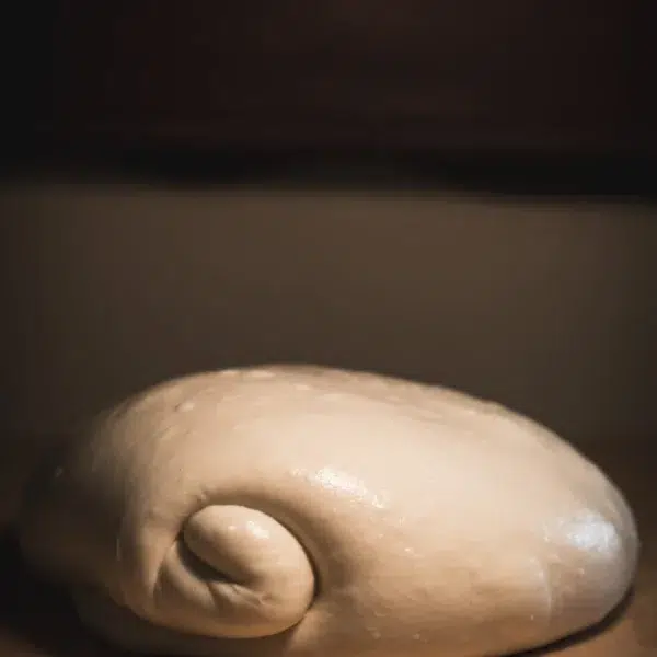 sourdough process
