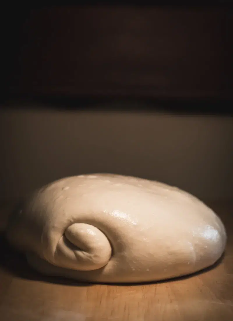 The Sourdough Process Explained Step-by-Step