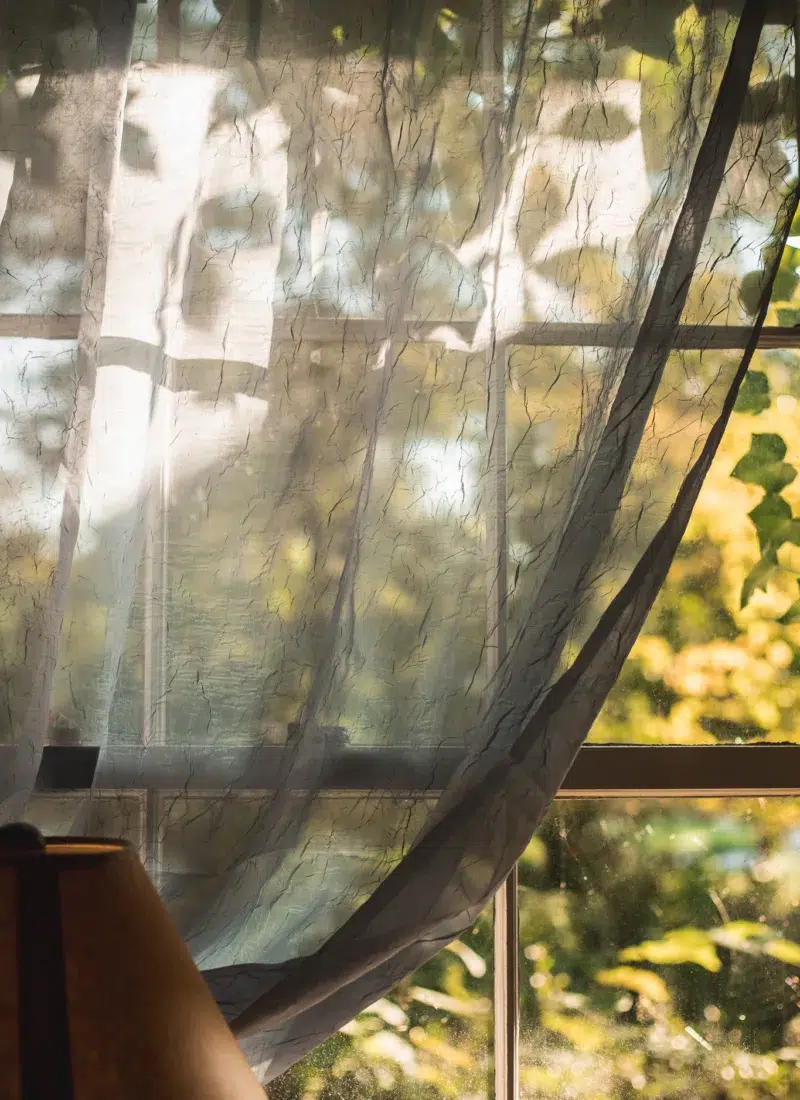 Noticing Nature in the Autumnal Shoulder Season