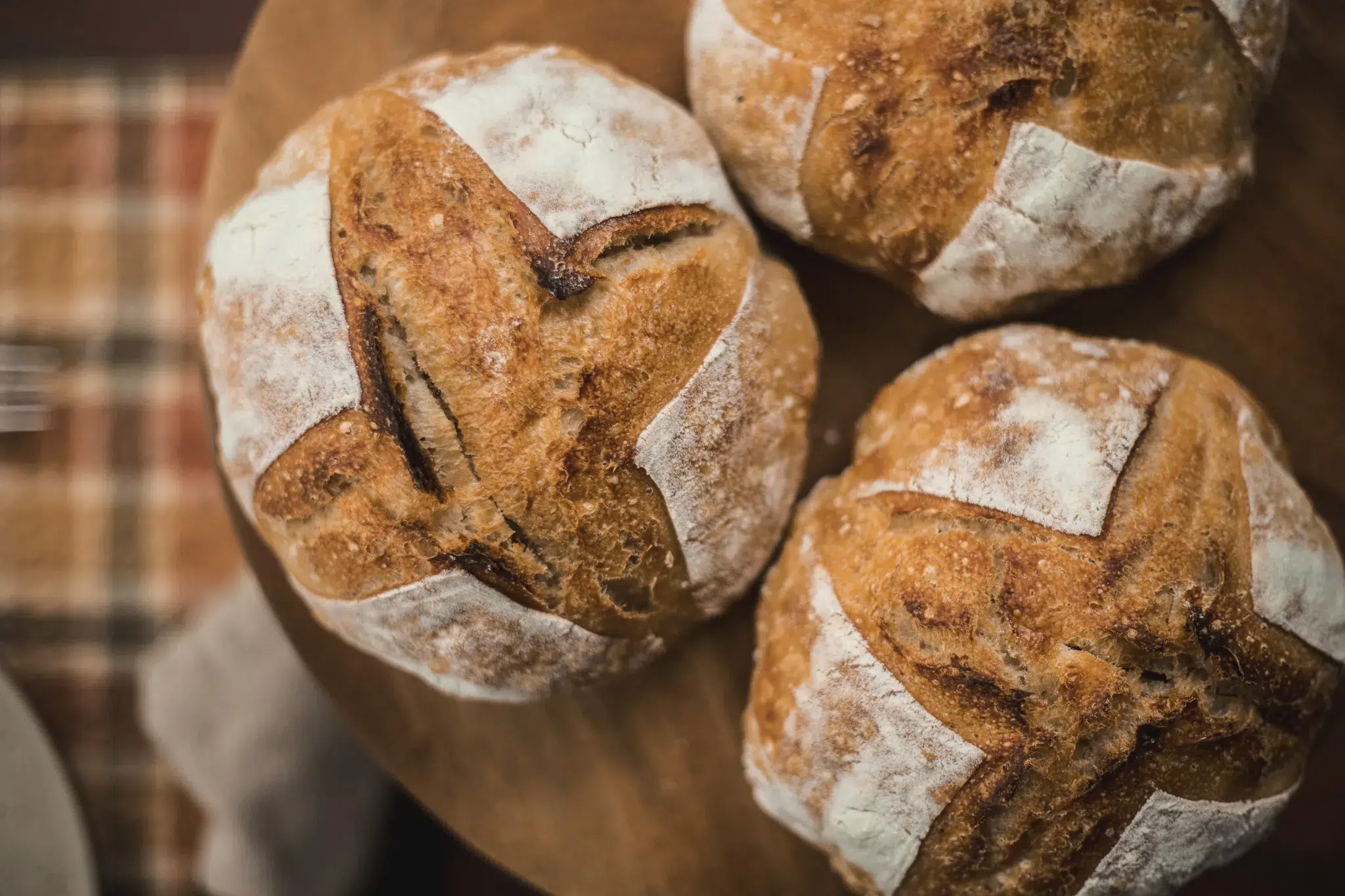 mini sourdough loaf