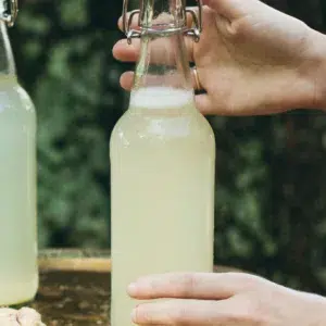 ginger beer recipe