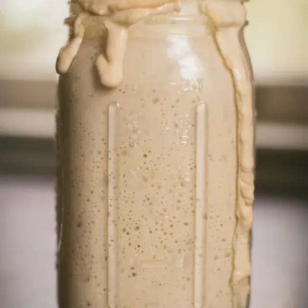 winterize sourdough starter