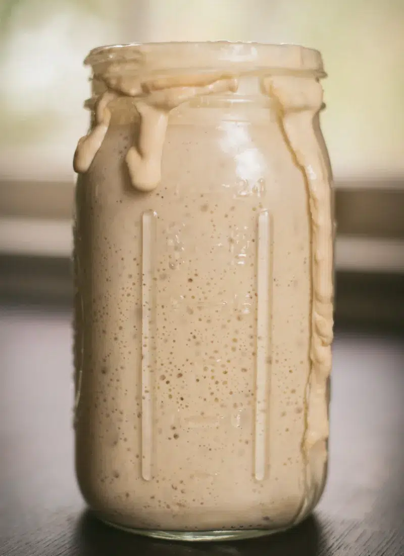 winterize sourdough starter