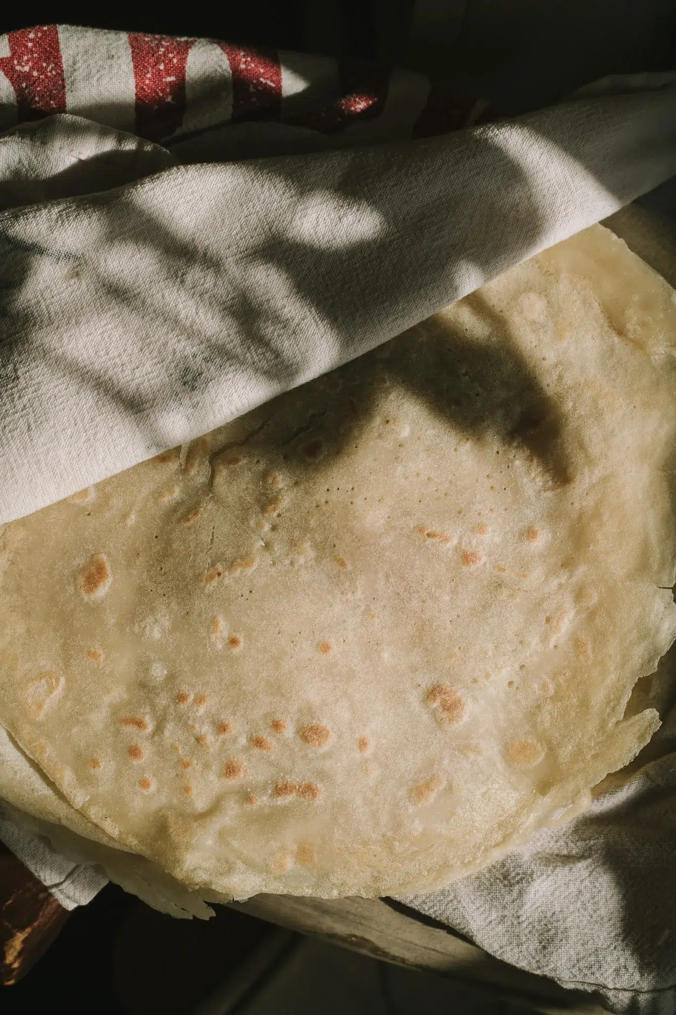 sourdough discard tortillas